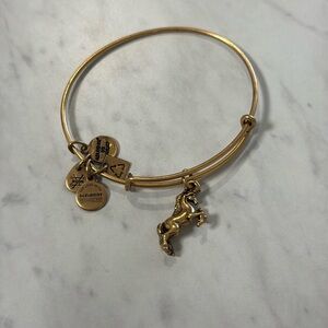 Alex and Ani unicorn bracelet